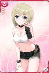 [サバイバルスタイル]シルビア